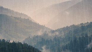 Aumento di 2 gradi raddoppia le 'Bombe d'acqua' sulle Alpi