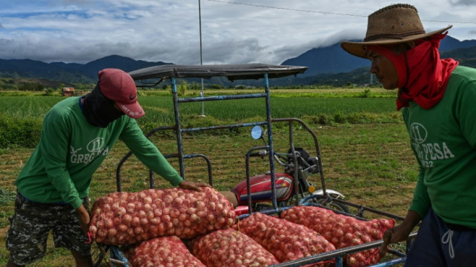 Aux Philippines, l'oignon devenu bien de luxe atteint des prix &agrave; pleurer
