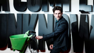 Para Timoth&eacute;e Chalamet, el mundo necesita un nuevo Bob Dylan