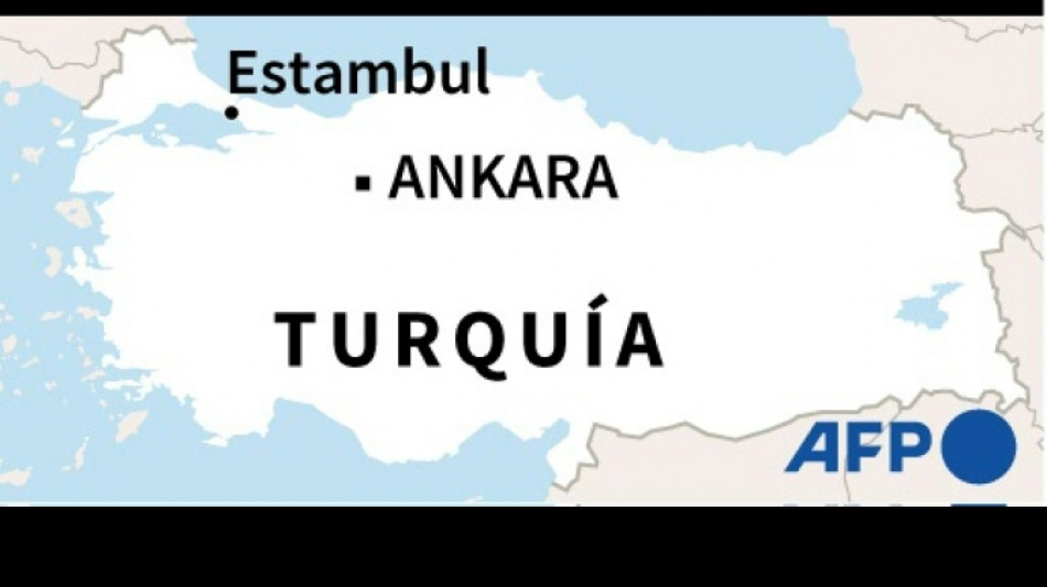 M&aacute;s de 250 personas evacuadas tras un nuevo incendio en Turqu&iacute;a