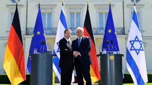 Steinmeier mahnt Israel zu Einhaltung v&ouml;lkerrechtlicher Regeln