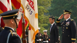 Sunak llega a Washington para hablar de tecnolog&iacute;a y defensa con Biden
