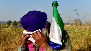 Inde: tirs de gaz lacrymog&egrave;nes pour arr&ecirc;ter une marche d'agriculteurs en col&egrave;re