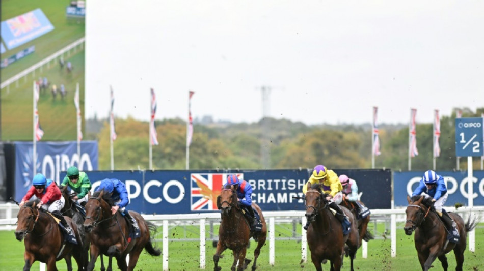 Baaeed loses unbeaten record as Bay Bridge wins Champion Stakes