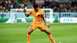 Gakpo stars for Netherlands at World Cup as transfer suitors circle
