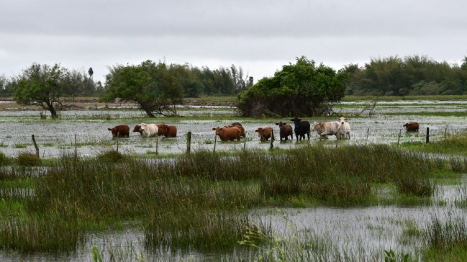 El fen&oacute;meno meteorol&oacute;gico El Ni&ntilde;o persistir&aacute; hasta abril de 2024, seg&uacute;n la ONU