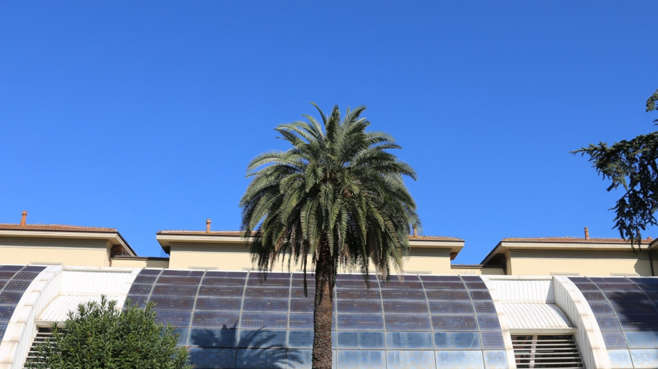 Morbillo, bimba di 19 mesi non vaccinata ha rischiato la vita