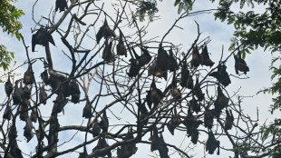 Vers davantage de zoonoses, avec le risque de nouvelles pand&eacute;mies