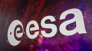 Esa, rivisto a 22,3 miliardi il contributo degli Stati membri