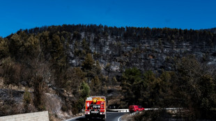 Mehr als hundert Br&auml;nde w&uuml;ten in Nordspanien