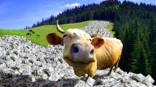 SMX's Operating System for Physical Materials Is Now Live In Six Countries