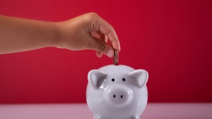 Pic-Time Reinvents the Wedding Gallery With Upgraded AI-Driven Face, Object, and Narrative Search